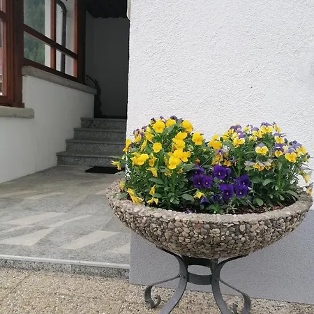 Haus Martha