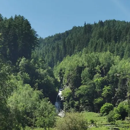 Apartment Haus Martha *