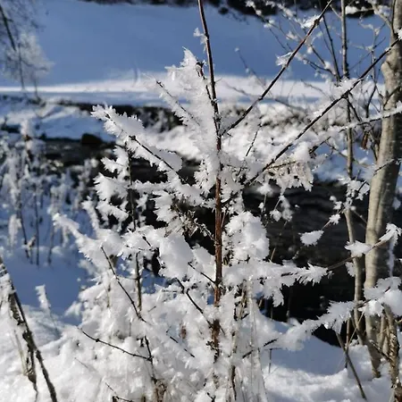 Haus Martha Lägenhet *