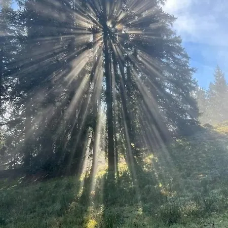 Haus Martha * Kaunertal